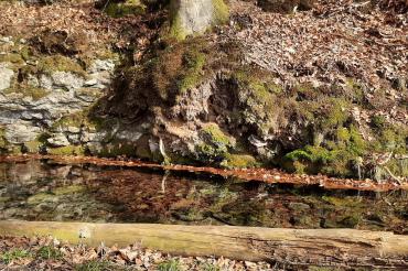 Die Schwalbquelle bei der Mittelmühle.