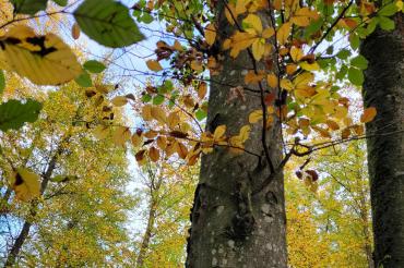 In der Natur lässt sich viel Energie tanken.