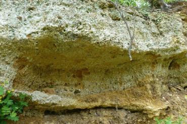 Aufschluss eines Mündungsdeltas in den Geotopen Kühstein Mönchsdeggingen.