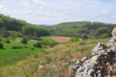 Blick ins Kohlebachtal.