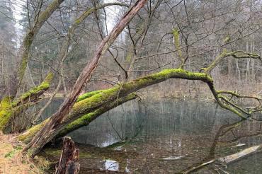 Bild von Karl-Heinz John