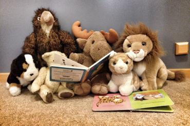 Das Bild zeigt Kuscheltiere