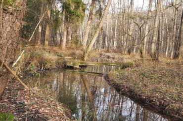 Der Bettelsteg im Schwalbtal