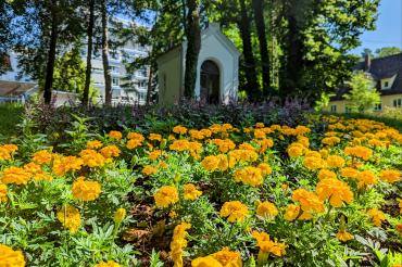 Blumenbeet Promenade Donauwörth