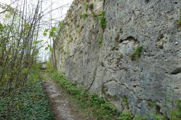 Wallersteiner Felsen