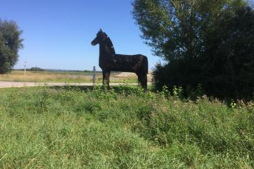 Auch unterwegs gibt es bei den ADFC-Touren viel zu sehen.