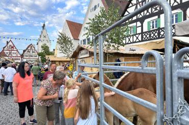 Viehmarkt Monheim