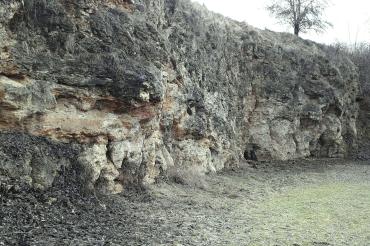 Aufschluss am Büschelberg (Hainsfarth)