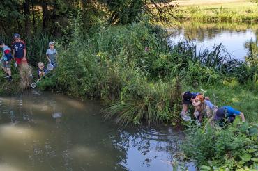 Auch dieses Jahr beteiligte sich Gertrud Bittl-Dinger am Ferienprogramm der Stadt Rain. Mit ihr gingen 18 Kinder auf Becherlupensafari und erforschten den Lebensraum Wasser: als Wasserdetektive mit Kescher und Sieben gingen die Kinder auf die Suche nach Wassertieren. 