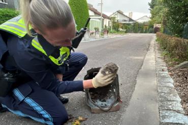 Die Polizistin retten den Igel aus dem Gull<.
