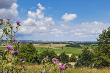 Blick ins Ries vom Mähhorn bei Huisheim.