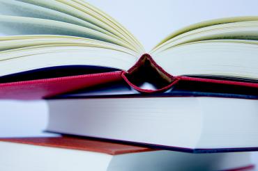 Das Bild zeigt Bücher