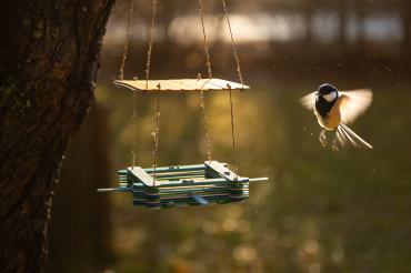 Selbst gebaute Vogelfutterstation