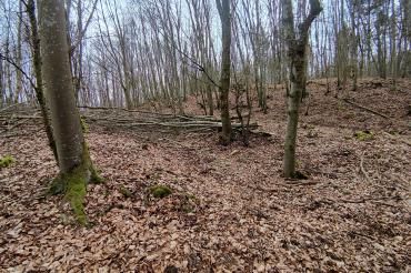 Das Bild zeigt den Christgarten am Geopark.