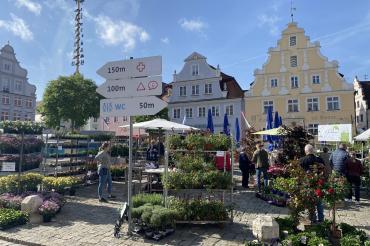 Das Bild zeigt den Fuchsienmarkt 2023.