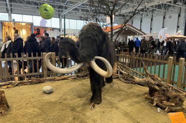 Die "Jagen und Fischen" läuft noch bis Sonntagabend in Augsburg. 