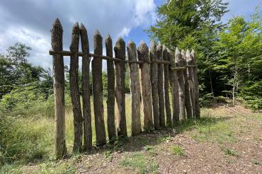 Eine Grenze die verbindet – Der römische Limes als Chance für die Artenvielfalt von Simon Sulk und Manni Bauer.