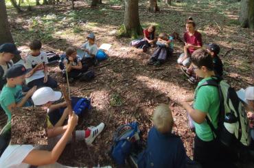 Das Wildniscamp am Wurzelhof bietet ein spannendes Programm.