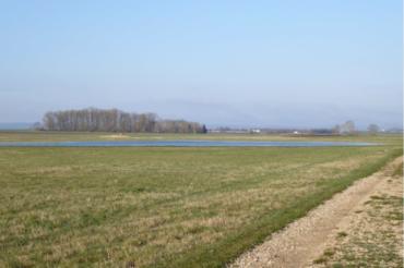 Die offenen, weiten Flächen der Rieser Ebene, idealerweise mit Flachmulden durchsetzt, sind wichtige Lebensräume für Wiesenbrüter. In diesen Gebieten ist die Gebietsbetreuung tätig.