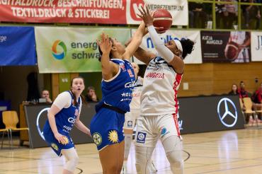 Nördlingen gegen Halle Lions