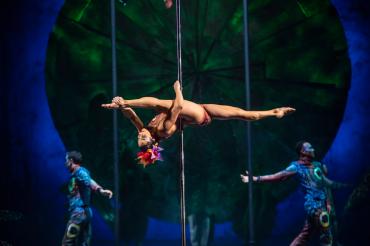 Das Bild zeigt Diana Ham.