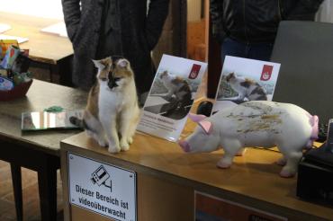 Hier sieht man die Turmkatze Wendelstein mit der Nördlinger Sau.