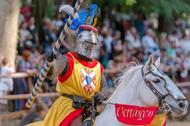 - Graf Wolfgang I. reitet zum Turney auf des Fürsten Grund