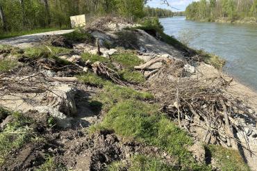 Ersatzhabitat für Zauneidechse an der Fischaufstiegsanlage Oberpeiching.