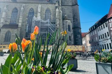 Über den Sommer wird der Nördlinger Marktplatz wieder zur Fußgängerzone.