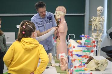  In der Natur und Technik-Station erklärte Markus Holzner den interessierten Viertklässlern unter anderem anhand eines Modells die menschlichen Organe.