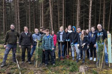 Personen die im Wald Stehen und Bäume Pflanzen