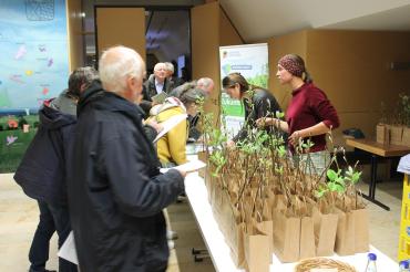 Hier sieht man, wie der Baum des Jahres, die Mehlbeere, verteilt wird.
