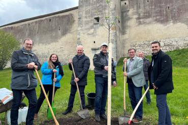Im Burggarten wurde ein Apfelbaum der seltenen Sorte "Leitheimer Streifling" symbolisch gepflanzt. Auf dem Bild zu sehen (von links): Ralf Hermann Melber, Pomologe, Michaela Weber, Streuobstkoordinatorin Regierung von Schwaben, Friedrich Hertle, Leiter Kulturstiftung Harburg, Martin Weiß, Landschaftspflegeverband Donau-Ries, Landrat Stefan Rößle, Franz Miller, Leiter Kulturstiftung Harburg und Christoph Schmid, Bürgermeister Harburg.