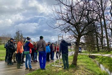 Kursangebot Obstbäume 