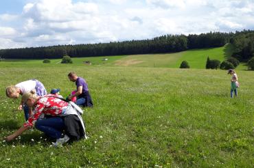 Kleine Naturdetektive erkunden die heimische Flora und Fauna.