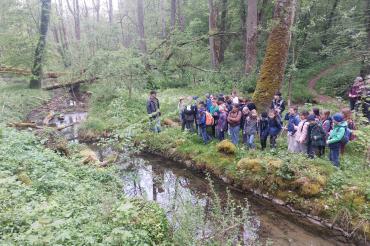 Die Viertklässler der Leonhart-Fuchs-Grundschule in Wemding erleben den HSU-Unterricht in der freien Natur.