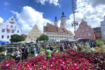 Der Fuchsienmarkt in Wemding 2024 war ein voller Erfolg.