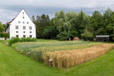 Garten des Museum KulturLand Ries