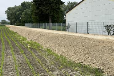 Hier sieht man den provisorischen Damm in Auchsesheim.