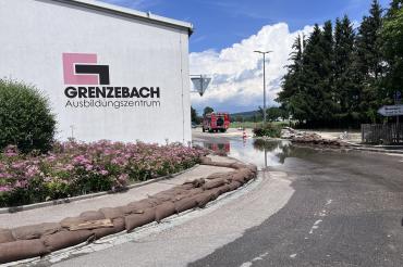 Hochwasser 2024, Hamlar