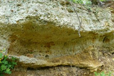 Aufschluss eines Mündungsdeltas in den Geotopen Kühstein Mönchsdeggingen.