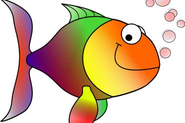 Bild Regenbogenfisch