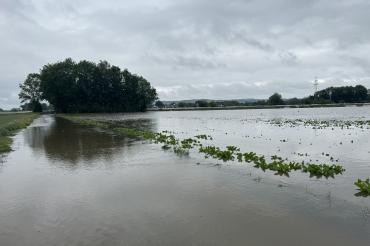 Hochwasser Auchsesheim Notunterkünfte