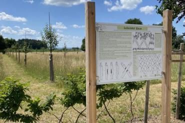 Botanischer Garten Wemding: Info-Tafeln sollen die Besucher*innen über die alten und zum Teil seltenen Obstsorten aufklären.