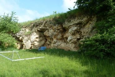 Verkalktes Algenriff am Sportplatz in Hainsfarth