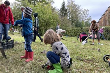 Frühblüher Pflanzaktion