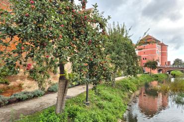 Obstbäume erhalten gelbe Bänder