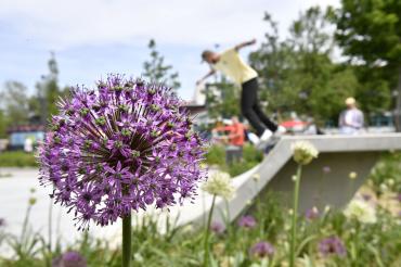 In diesem Jahr findet die Landesgartenschau in Kirchheim statt. 
