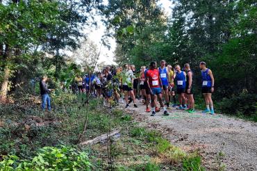 Hauptlaufstart 2023