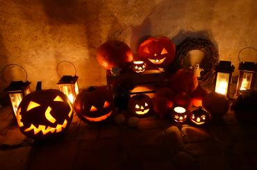 Kürbisse zur Führung